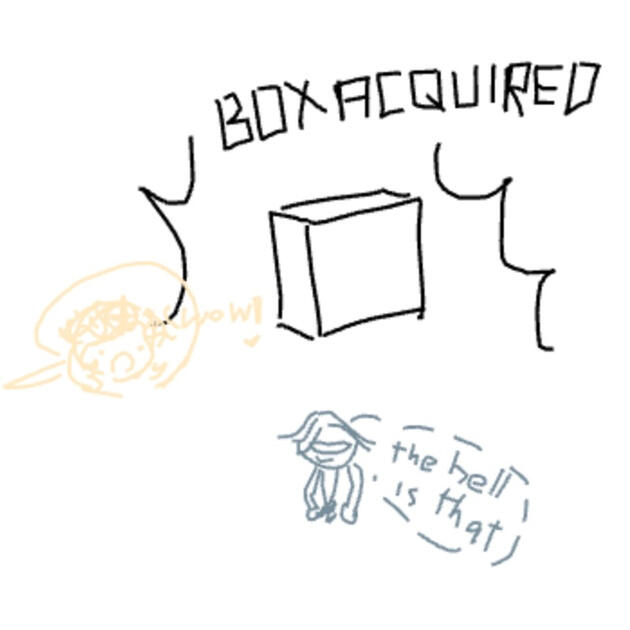 “Box acquired” “Wow!” “The hell is that”