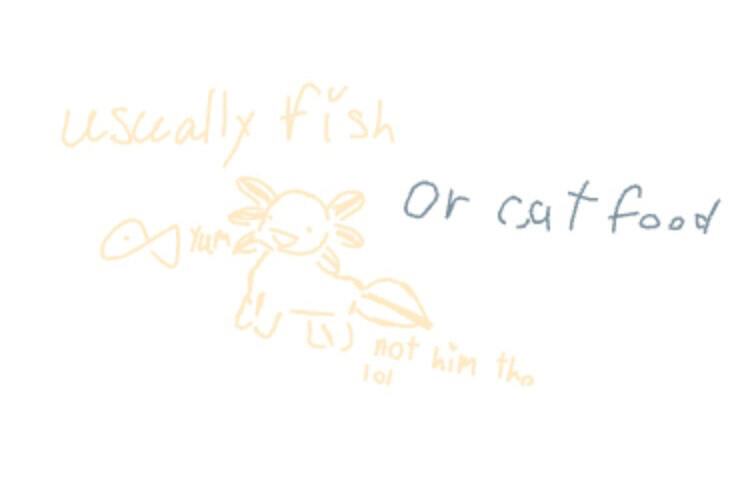 “Usually fish, yum, not him tho lol” “or cat food”